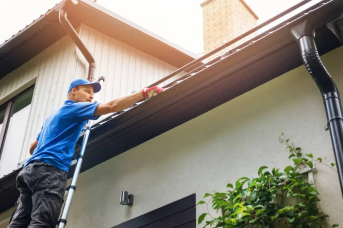 Cincinnati Gutter Cleaning: Premier Gutter Solutions for Cincinnati Homes